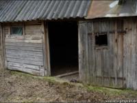 Spuren von Wildschweinen