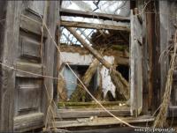 Das Fenster