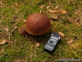 Nicht zum Verzehr geignet