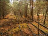 Der Zug versp�tet sich...